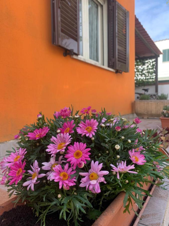 Casa Mare Al Circeo Vila San Felice Circeo Exterior foto